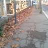 RACCOLTA FOGLIE E RIFIUTI IN VIA PRENESTINA E IN QUARTIERE