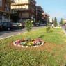 Premiazione per la prima edizione del Balcone Fiorito a Colle Prenestino