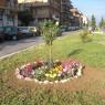 Premiazione per la prima edizione del Balcone Fiorito a Colle Prenestino