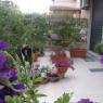 Premiazione per la prima edizione del Balcone Fiorito a Colle Prenestino