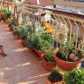 Premiazione per la prima edizione del Balcone Fiorito a Colle Prenestino