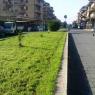 Viale Nusco 2012