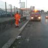 RACCOLTA FOGLIE E RIFIUTI IN VIA PRENESTINA E IN QUARTIERE