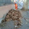 RACCOLTA FOGLIE E RIFIUTI IN VIA PRENESTINA E IN QUARTIERE