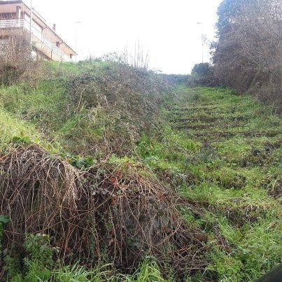 Scale fine Viale Nusco.jpg